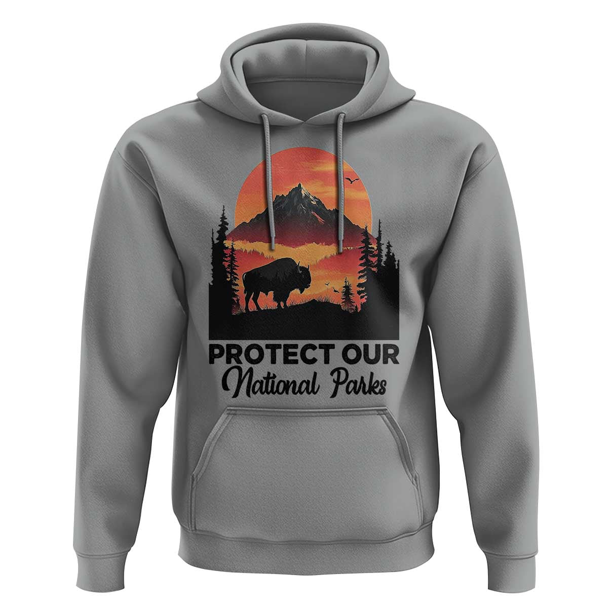 Protect Our National Parks Hoodie Bison Buffalo Vintage Graphic