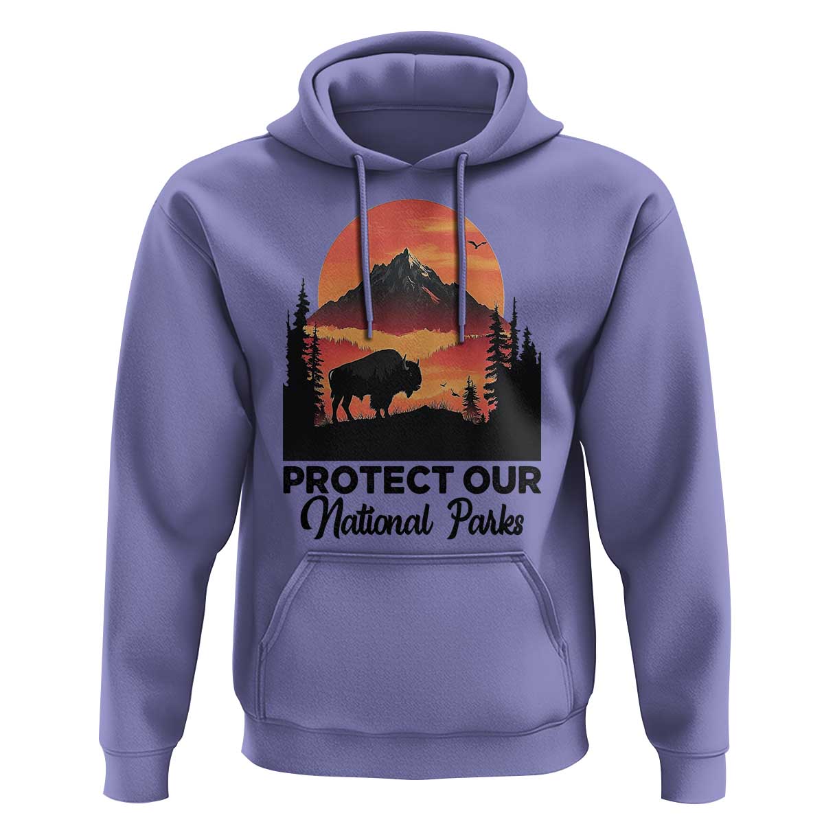 Protect Our National Parks Hoodie Bison Buffalo Vintage Graphic