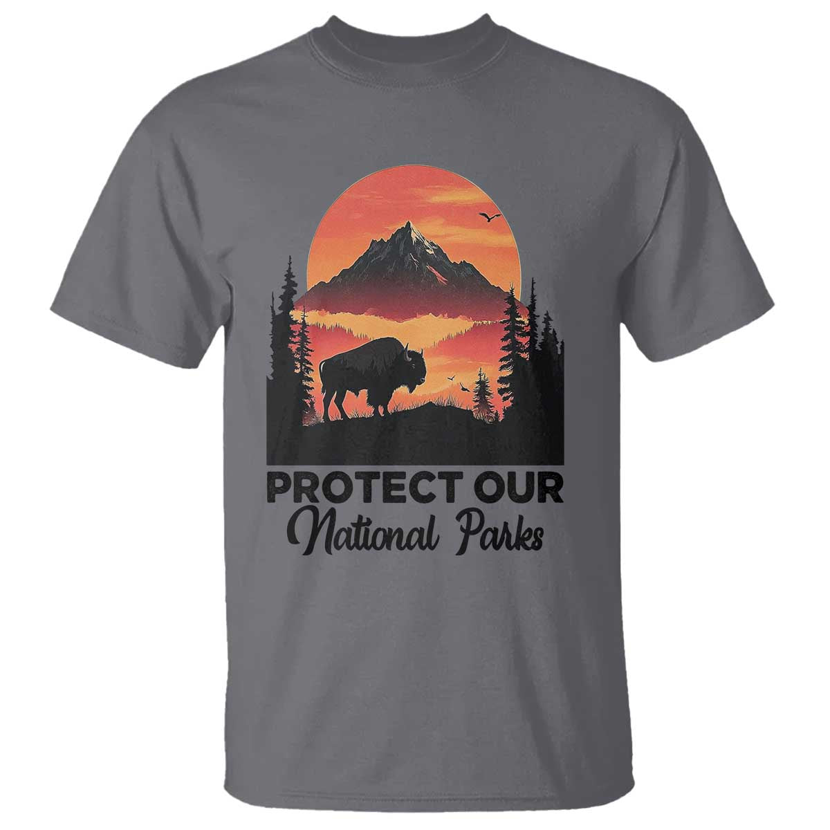 Protect Our National Parks T Shirt Bison Buffalo Vintage Graphic