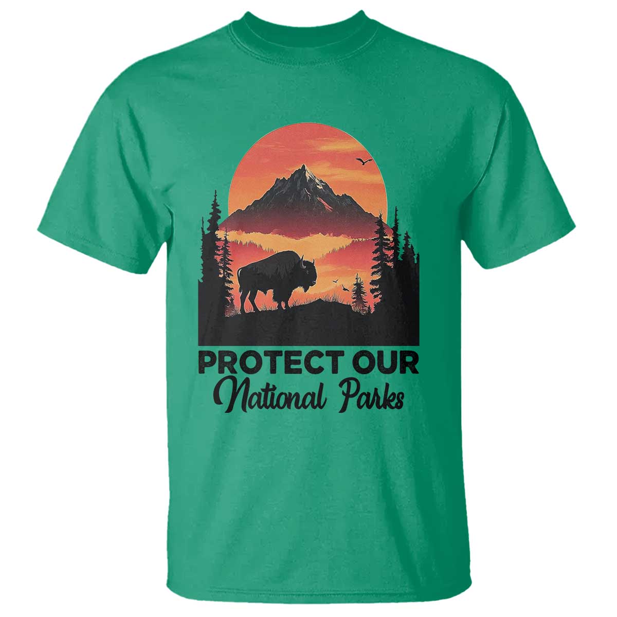 Protect Our National Parks T Shirt Bison Buffalo Vintage Graphic