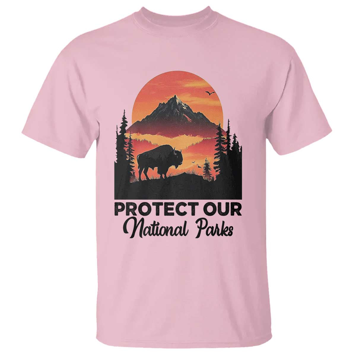 Protect Our National Parks T Shirt Bison Buffalo Vintage Graphic