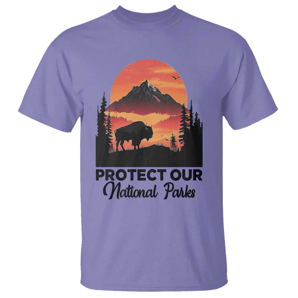 Protect Our National Parks T Shirt Bison Buffalo Vintage Graphic