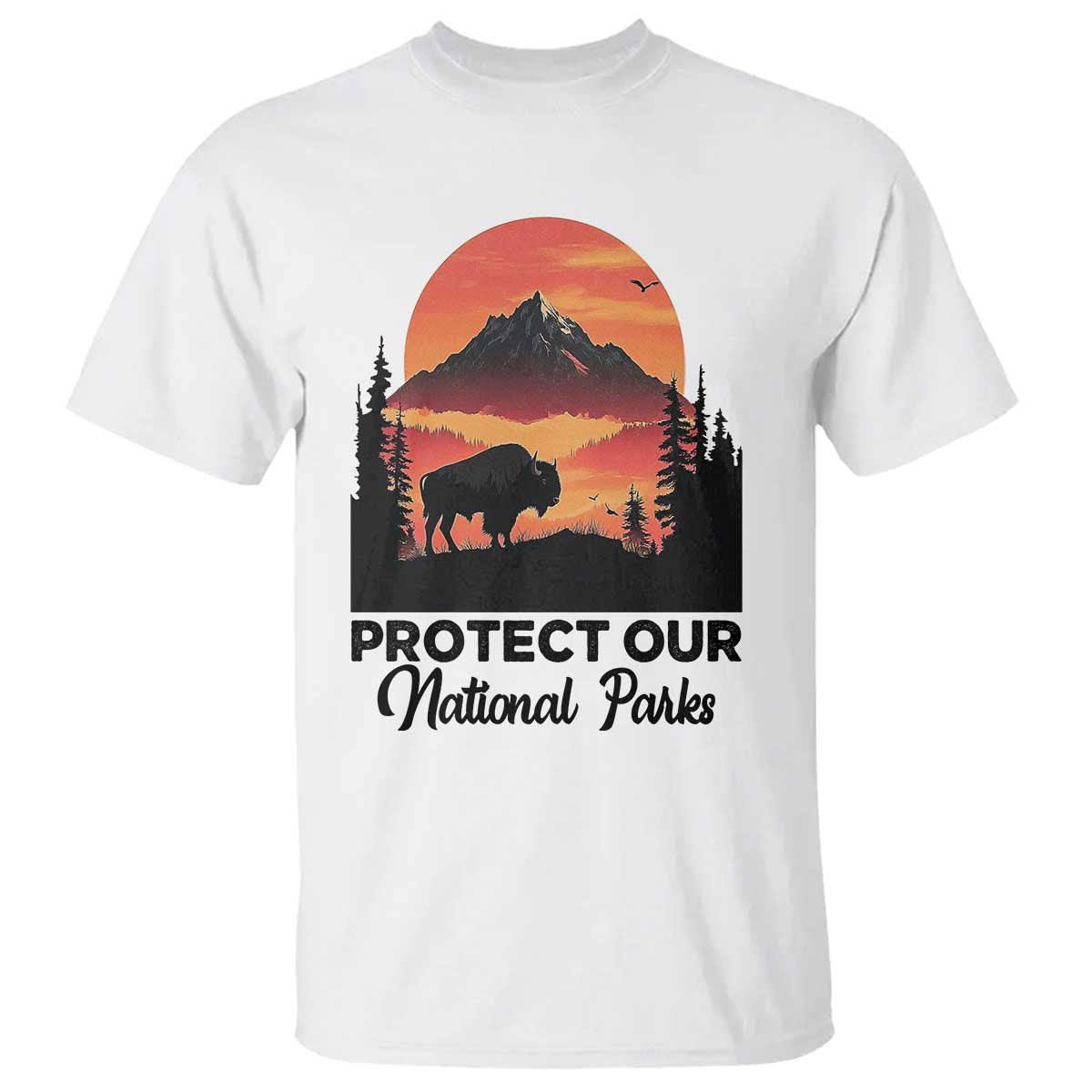 Protect Our National Parks T Shirt Bison Buffalo Vintage Graphic