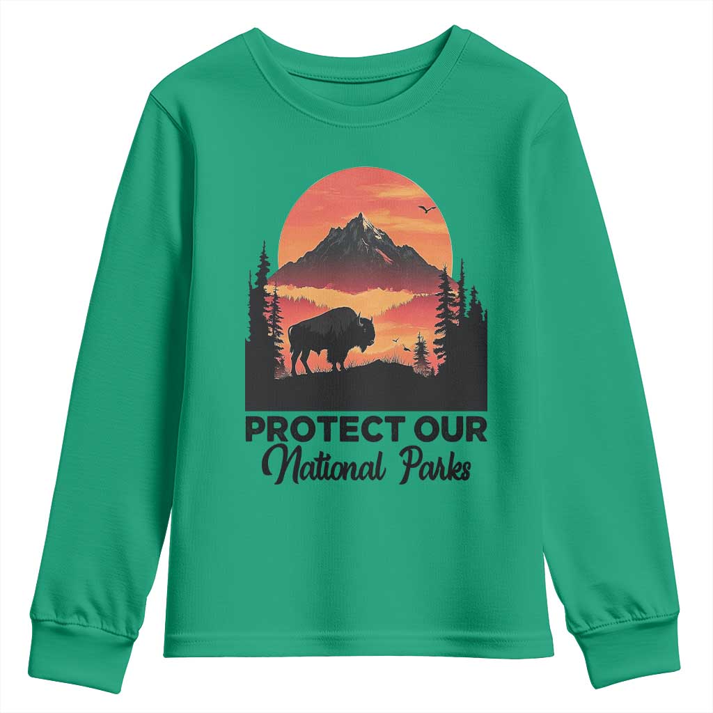 Protect Our National Parks Youth Sweatshirt Bison Buffalo Vintage Graphic