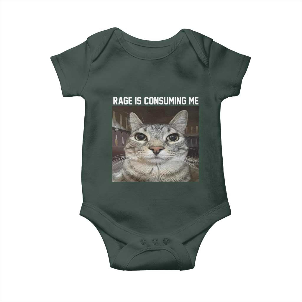 Funny Silly Cat Meme Baby Onesie Rage Is Consuming Me Staring