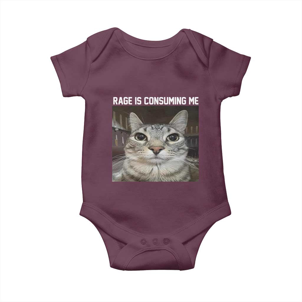 Funny Silly Cat Meme Baby Onesie Rage Is Consuming Me Staring