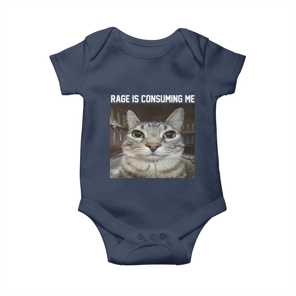 Funny Silly Cat Meme Baby Onesie Rage Is Consuming Me Staring