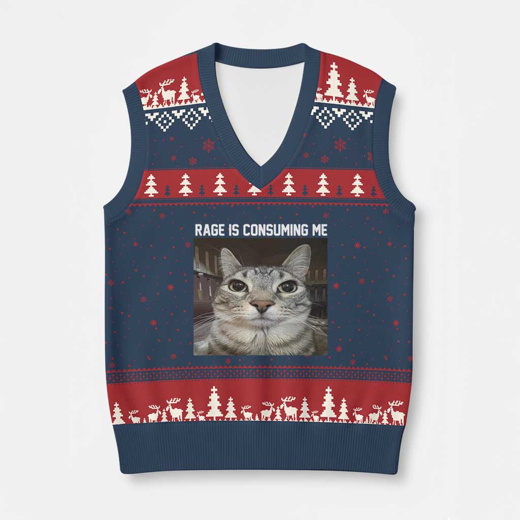 Funny Silly Cat Meme V-Neck Knit Sweater Vest Rage Is Consuming Me Staring - Wonder Print Shop