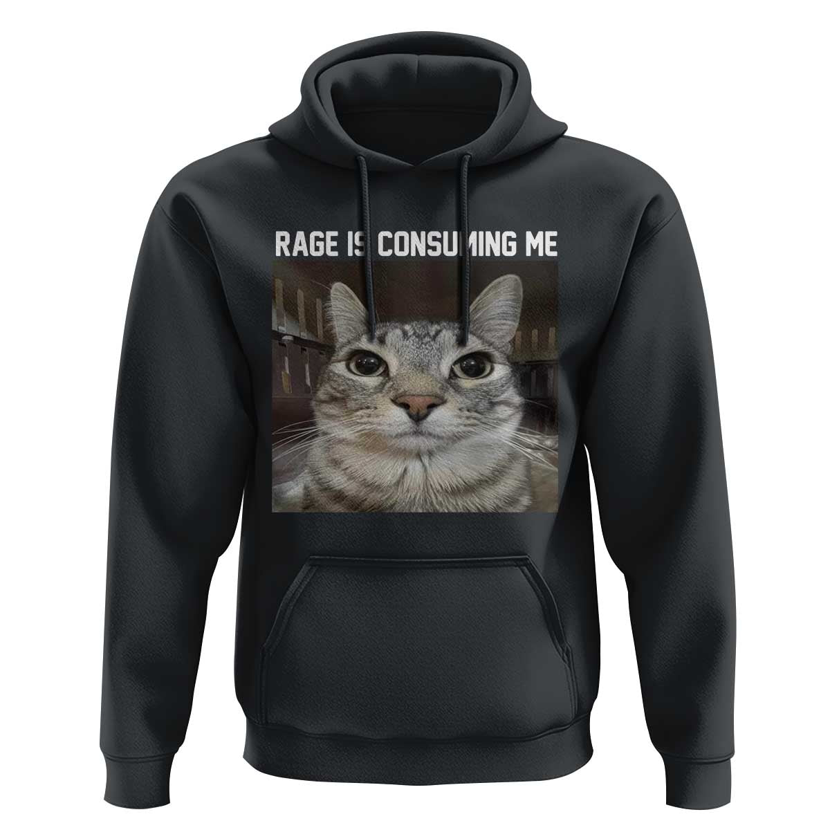 Funny Silly Cat Meme Hoodie Rage Is Consuming Me Staring
