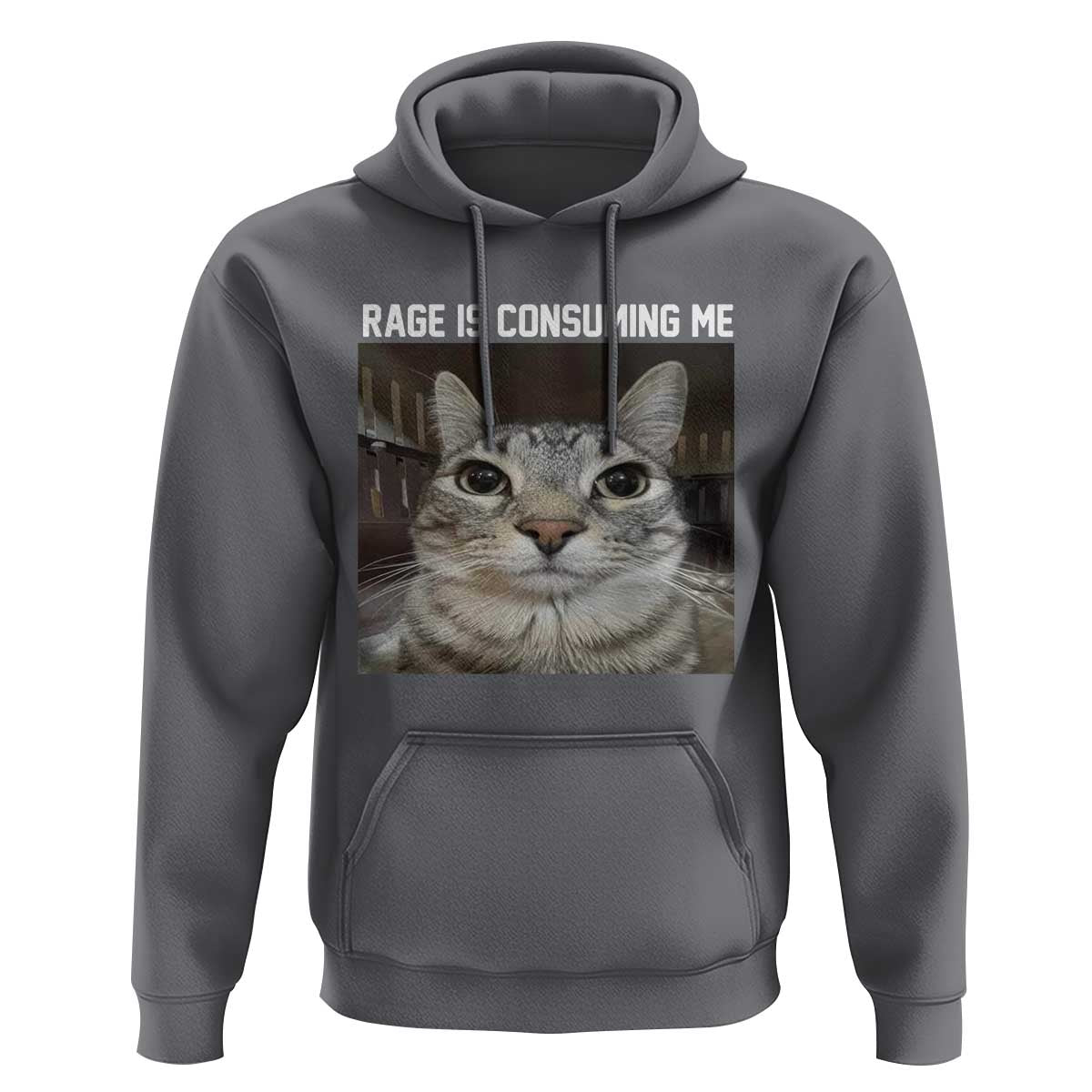Funny Silly Cat Meme Hoodie Rage Is Consuming Me Staring
