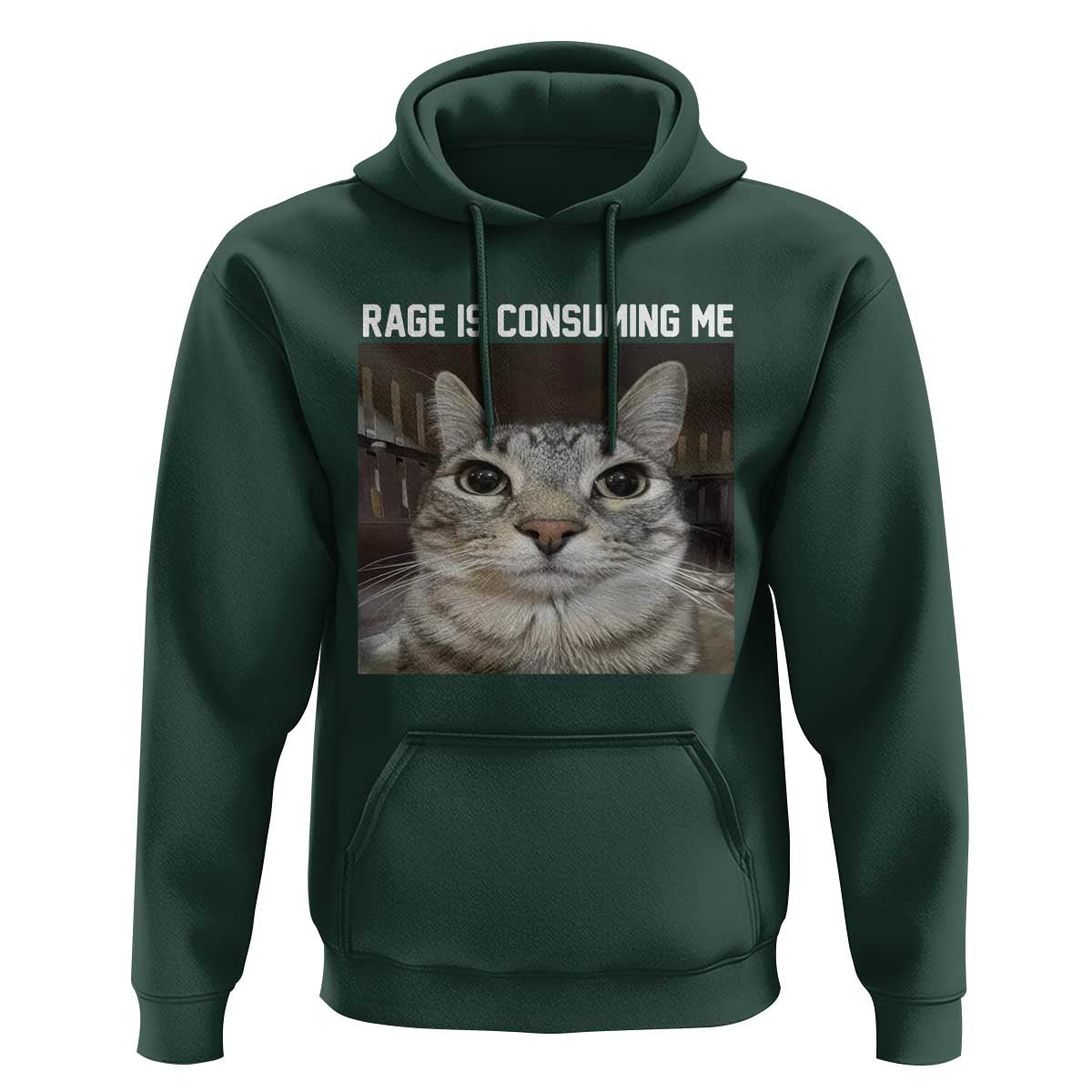 Funny Silly Cat Meme Hoodie Rage Is Consuming Me Staring