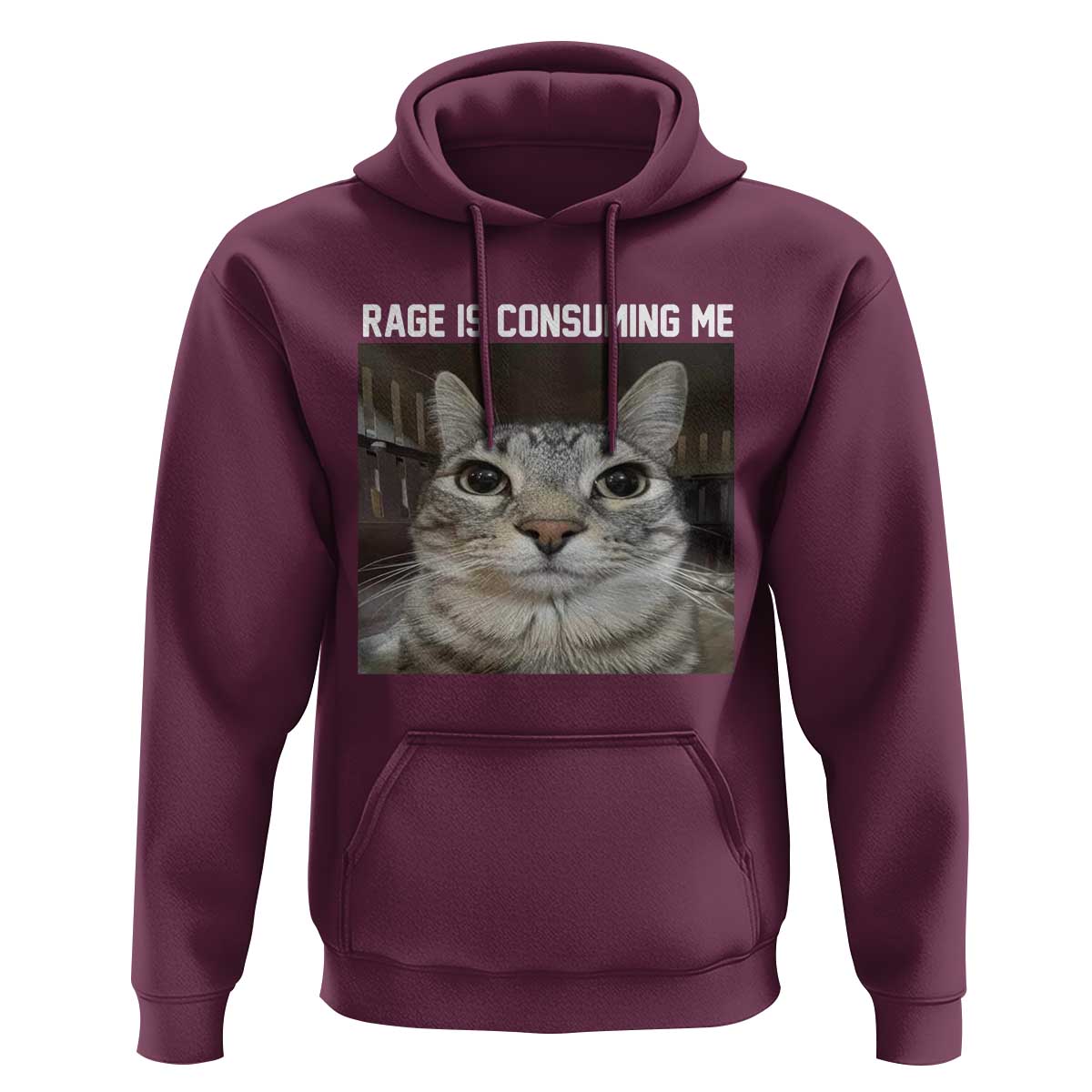 Funny Silly Cat Meme Hoodie Rage Is Consuming Me Staring