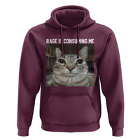 Funny Silly Cat Meme Hoodie Rage Is Consuming Me Staring