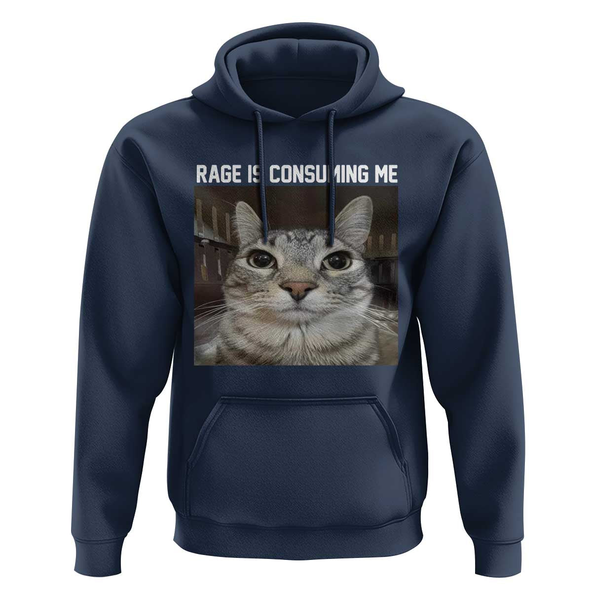 Funny Silly Cat Meme Hoodie Rage Is Consuming Me Staring
