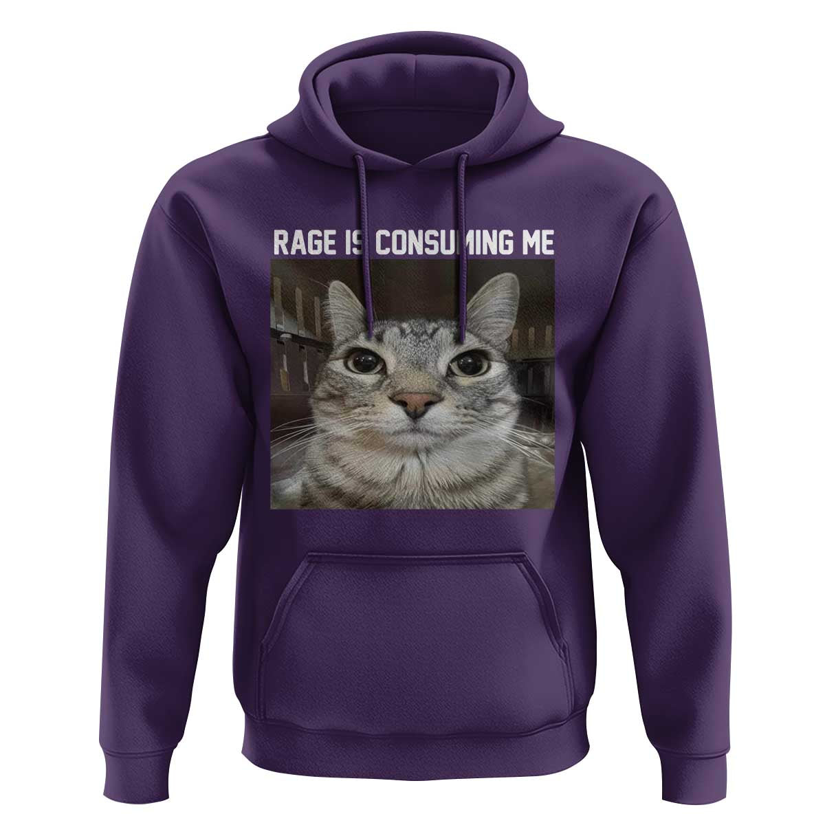 Funny Silly Cat Meme Hoodie Rage Is Consuming Me Staring