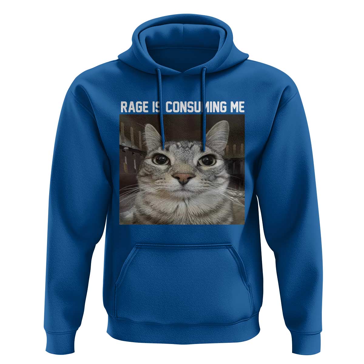 Funny Silly Cat Meme Hoodie Rage Is Consuming Me Staring