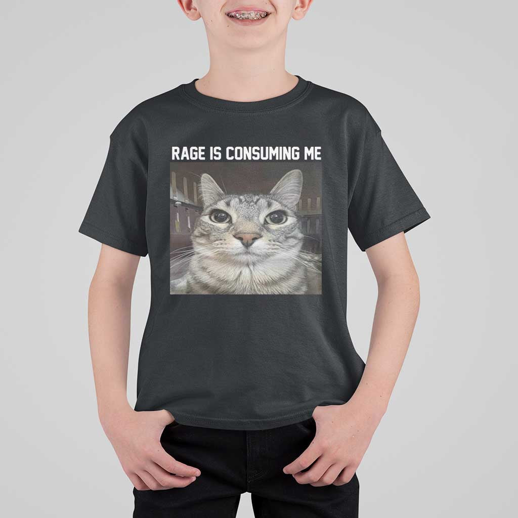 Funny Silly Cat Meme T Shirt For Kid Rage Is Consuming Me Staring - Wonder Print Shop