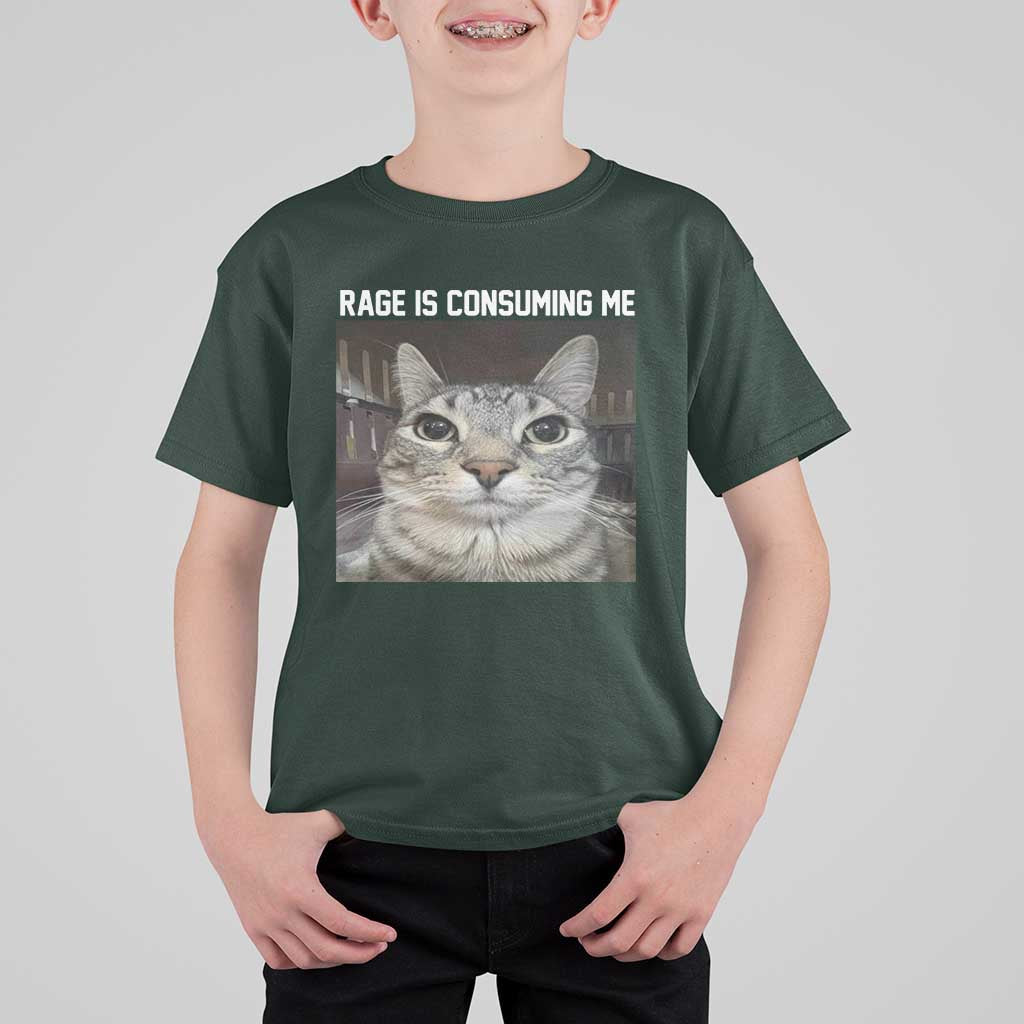 Funny Silly Cat Meme T Shirt For Kid Rage Is Consuming Me Staring - Wonder Print Shop