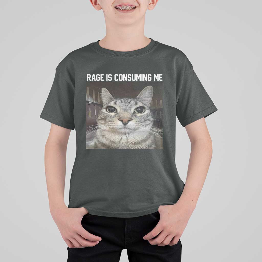 Funny Silly Cat Meme T Shirt For Kid Rage Is Consuming Me Staring - Wonder Print Shop