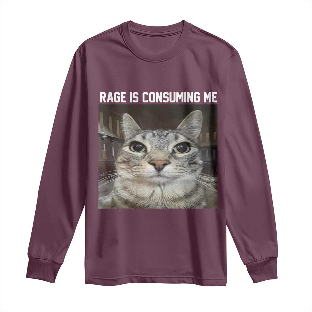 Funny Silly Cat Meme Long Sleeve Shirt Rage Is Consuming Me Staring