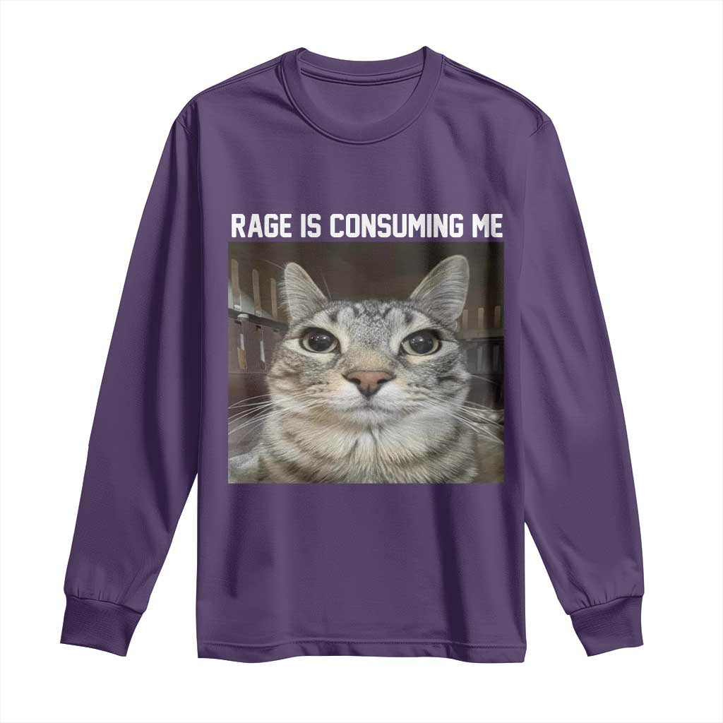 Funny Silly Cat Meme Long Sleeve Shirt Rage Is Consuming Me Staring