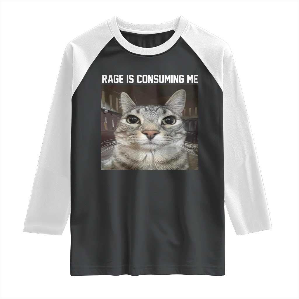Funny Silly Cat Meme Raglan Shirt Rage Is Consuming Me Staring