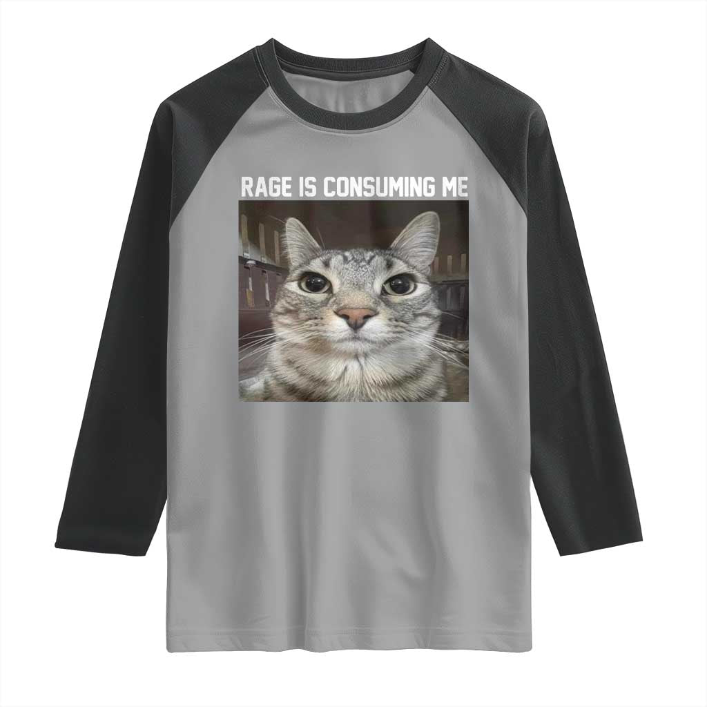 Funny Silly Cat Meme Raglan Shirt Rage Is Consuming Me Staring
