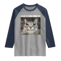 Funny Silly Cat Meme Raglan Shirt Rage Is Consuming Me Staring