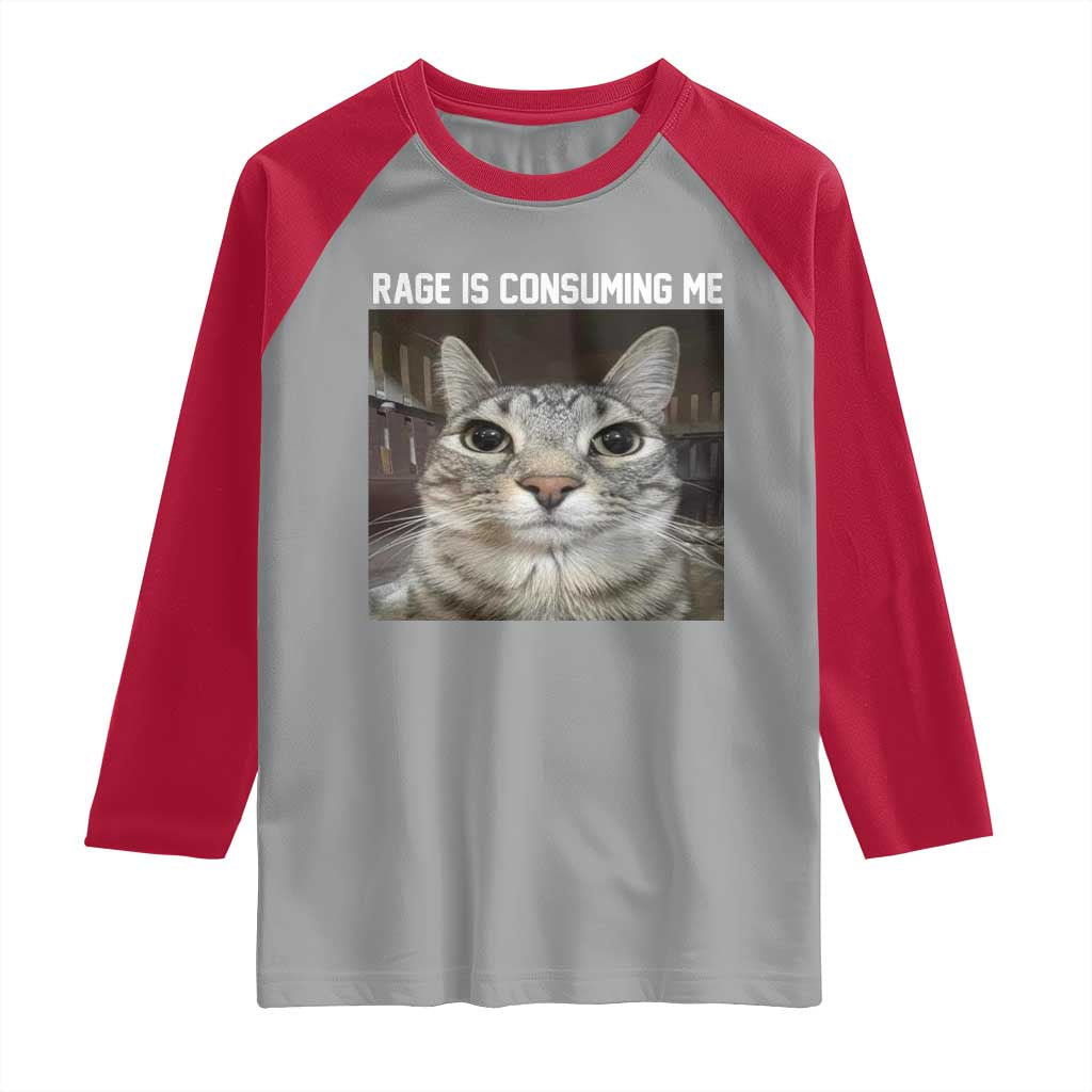 Funny Silly Cat Meme Raglan Shirt Rage Is Consuming Me Staring