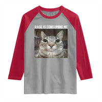 Funny Silly Cat Meme Raglan Shirt Rage Is Consuming Me Staring