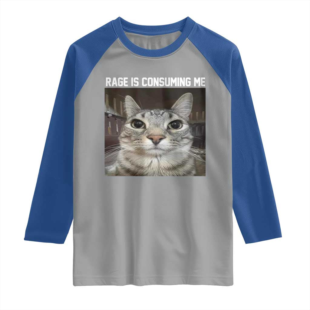 Funny Silly Cat Meme Raglan Shirt Rage Is Consuming Me Staring