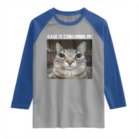 Funny Silly Cat Meme Raglan Shirt Rage Is Consuming Me Staring