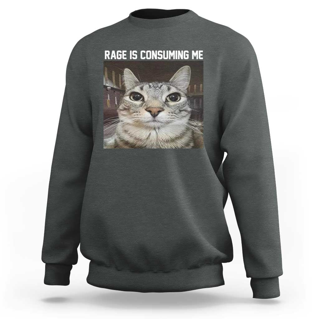 Funny Silly Cat Meme Sweatshirt Rage Is Consuming Me Staring - Wonder Print Shop