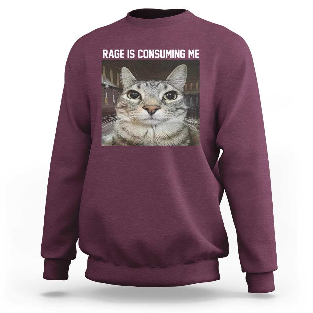 Funny Silly Cat Meme Sweatshirt Rage Is Consuming Me Staring - Wonder Print Shop