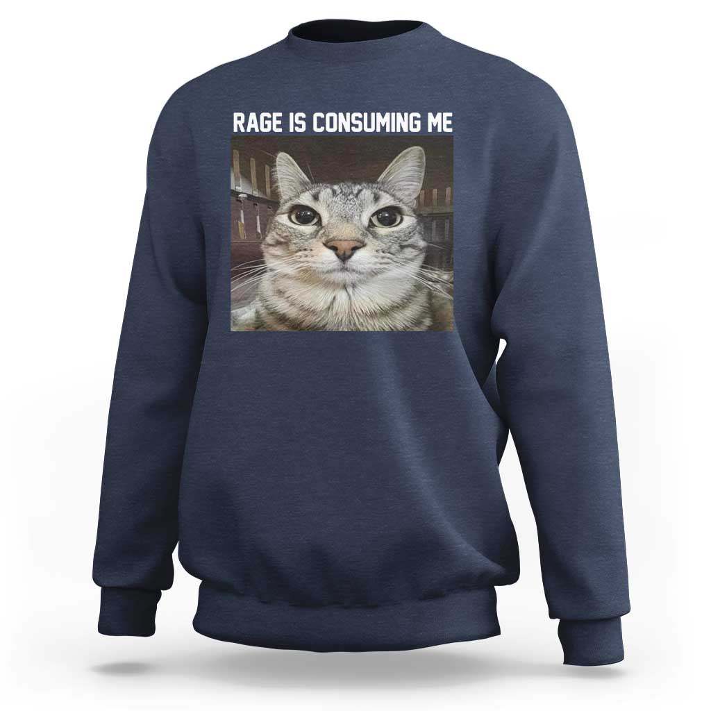 Funny Silly Cat Meme Sweatshirt Rage Is Consuming Me Staring - Wonder Print Shop