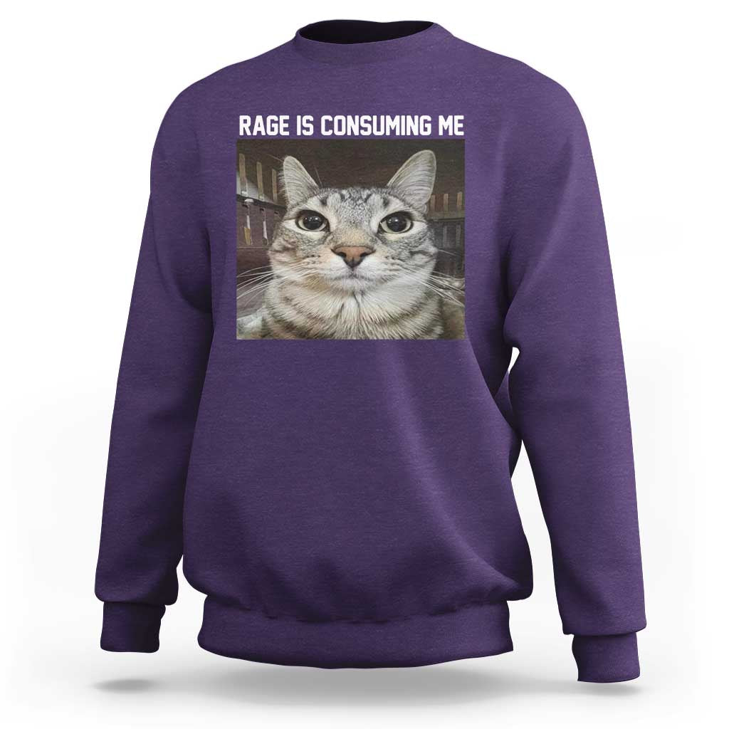 Funny Silly Cat Meme Sweatshirt Rage Is Consuming Me Staring - Wonder Print Shop