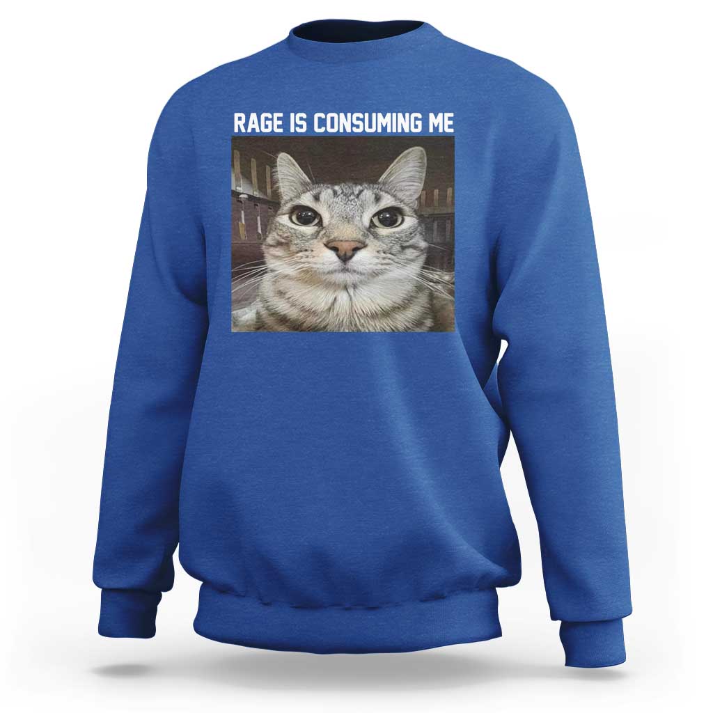 Funny Silly Cat Meme Sweatshirt Rage Is Consuming Me Staring - Wonder Print Shop