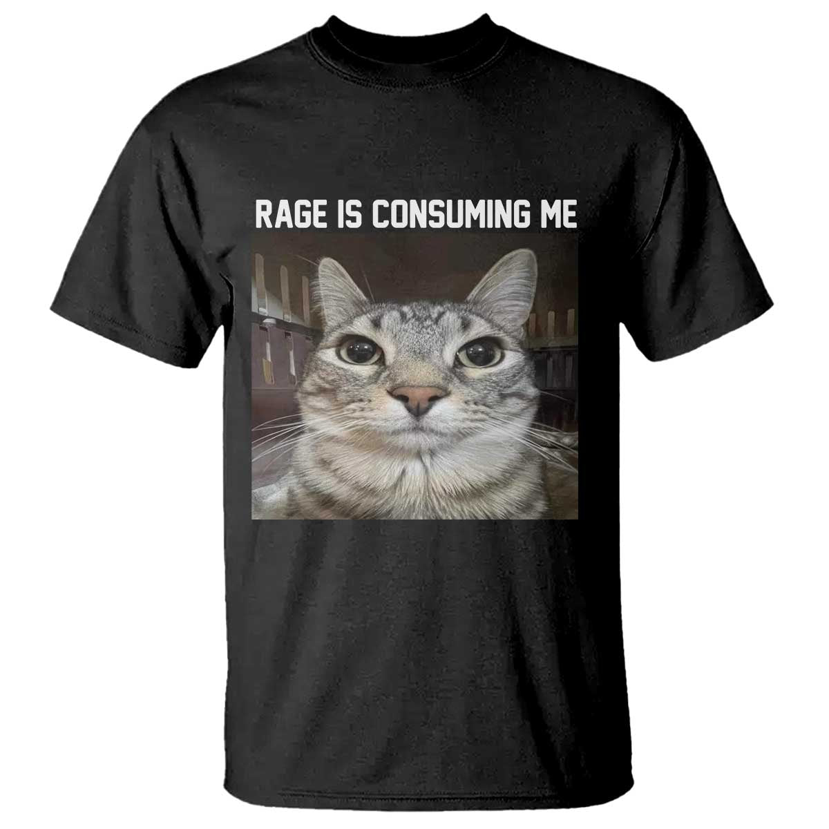 Funny Silly Cat Meme T Shirt Rage Is Consuming Me Staring - Wonder Print Shop