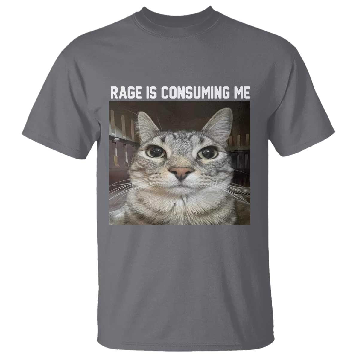 Funny Silly Cat Meme T Shirt Rage Is Consuming Me Staring - Wonder Print Shop
