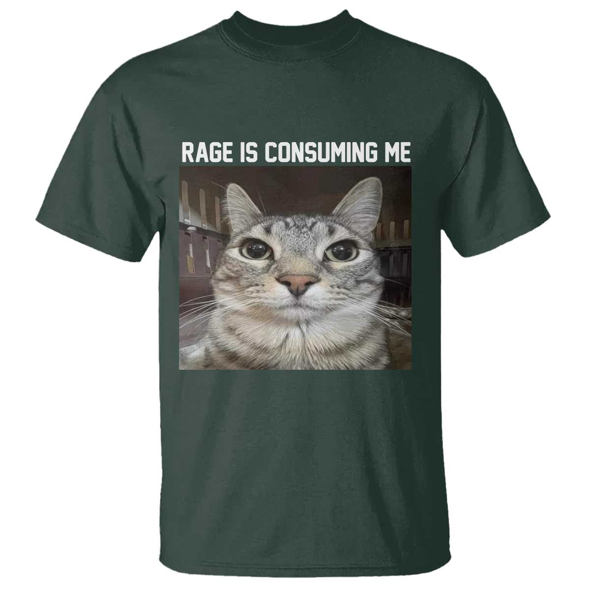 Funny Silly Cat Meme T Shirt Rage Is Consuming Me Staring - Wonder Print Shop