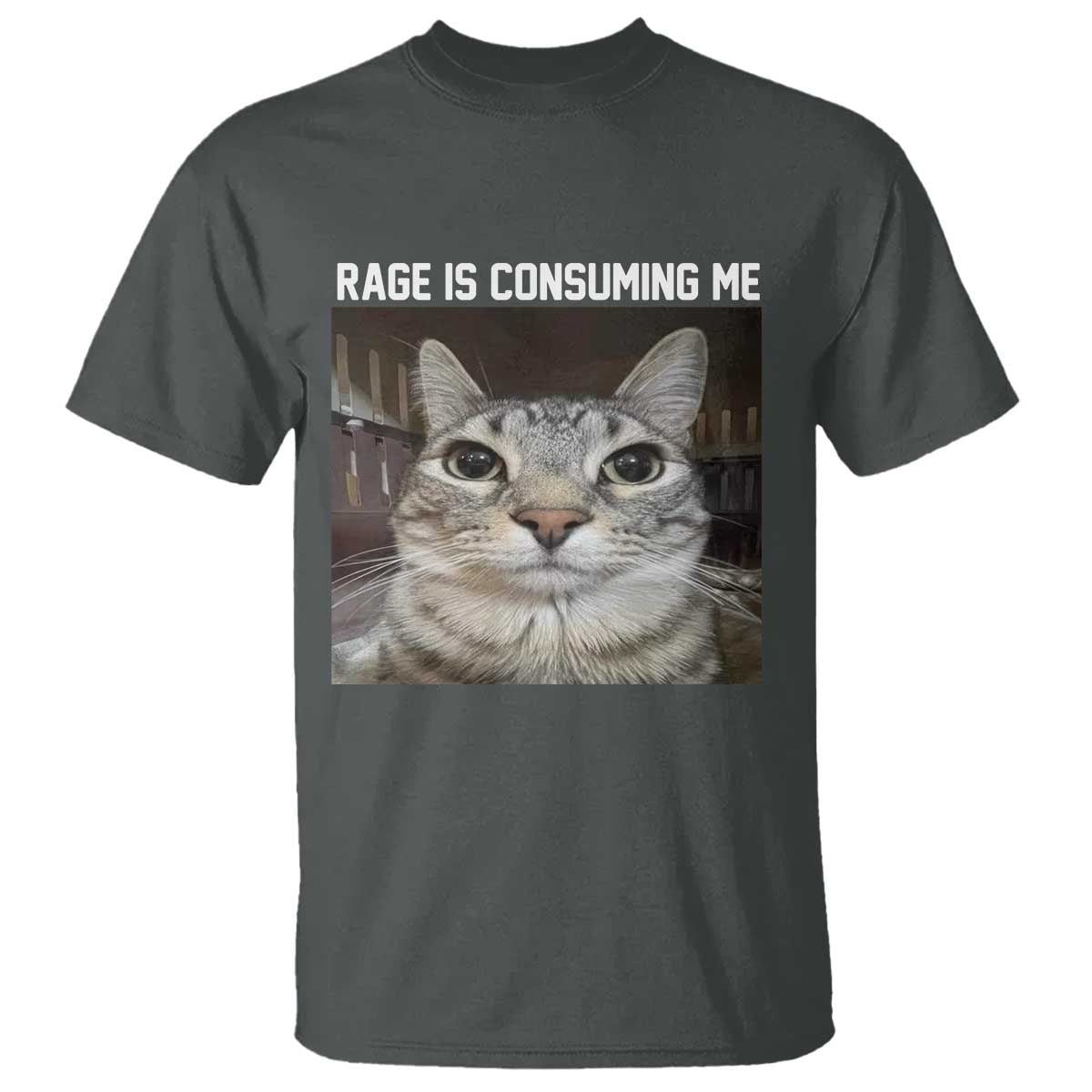 Funny Silly Cat Meme T Shirt Rage Is Consuming Me Staring - Wonder Print Shop