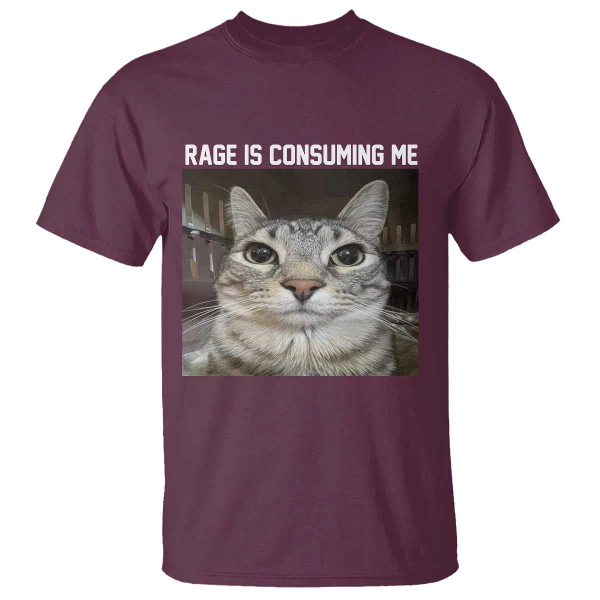 Funny Silly Cat Meme T Shirt Rage Is Consuming Me Staring - Wonder Print Shop