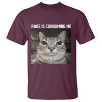 Funny Silly Cat Meme T Shirt Rage Is Consuming Me Staring - Wonder Print Shop