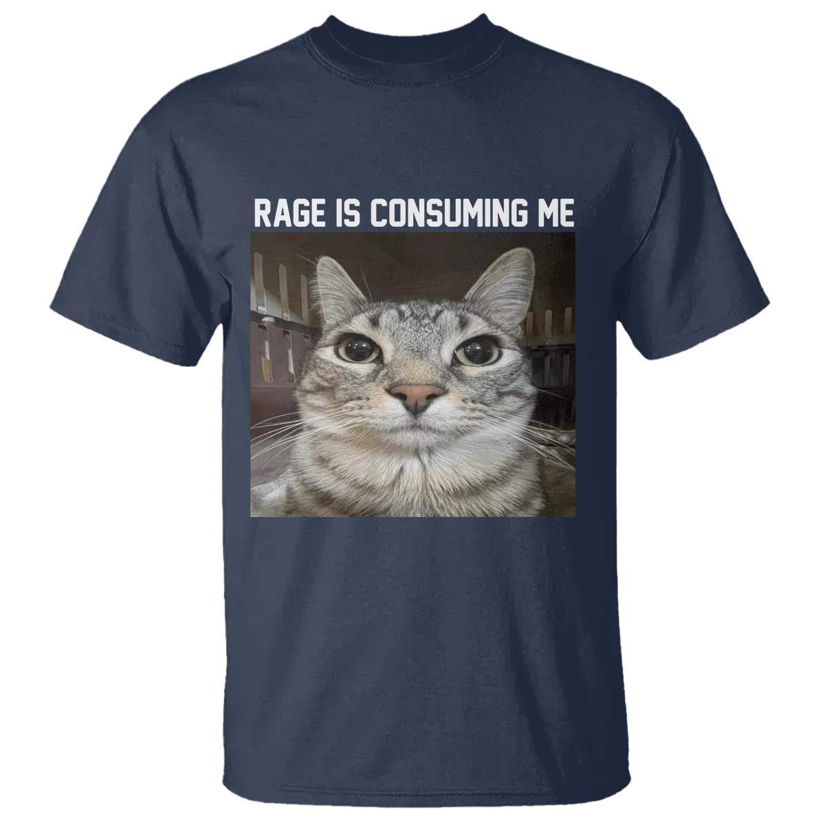 Funny Silly Cat Meme T Shirt Rage Is Consuming Me Staring - Wonder Print Shop