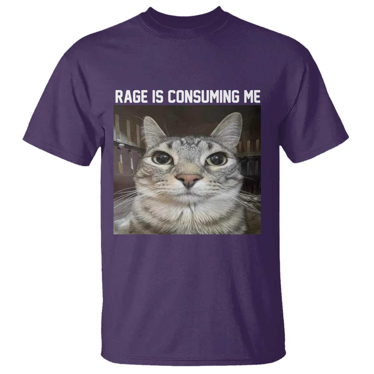 Funny Silly Cat Meme T Shirt Rage Is Consuming Me Staring - Wonder Print Shop