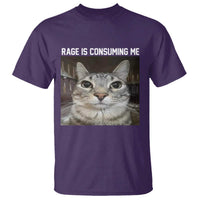Funny Silly Cat Meme T Shirt Rage Is Consuming Me Staring - Wonder Print Shop