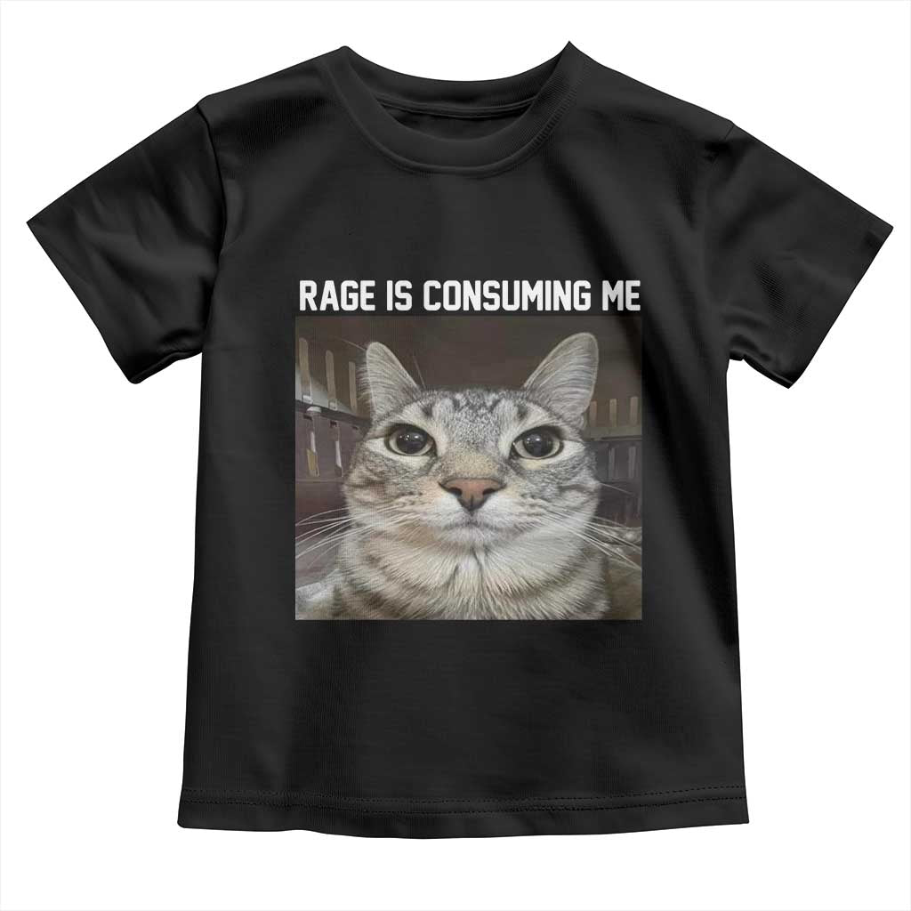 Funny Silly Cat Meme Toddler T Shirt Rage Is Consuming Me Staring