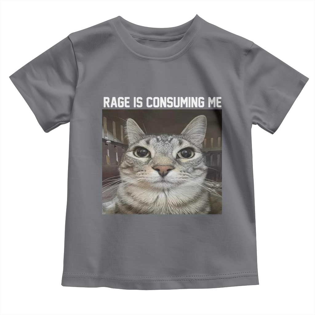 Funny Silly Cat Meme Toddler T Shirt Rage Is Consuming Me Staring