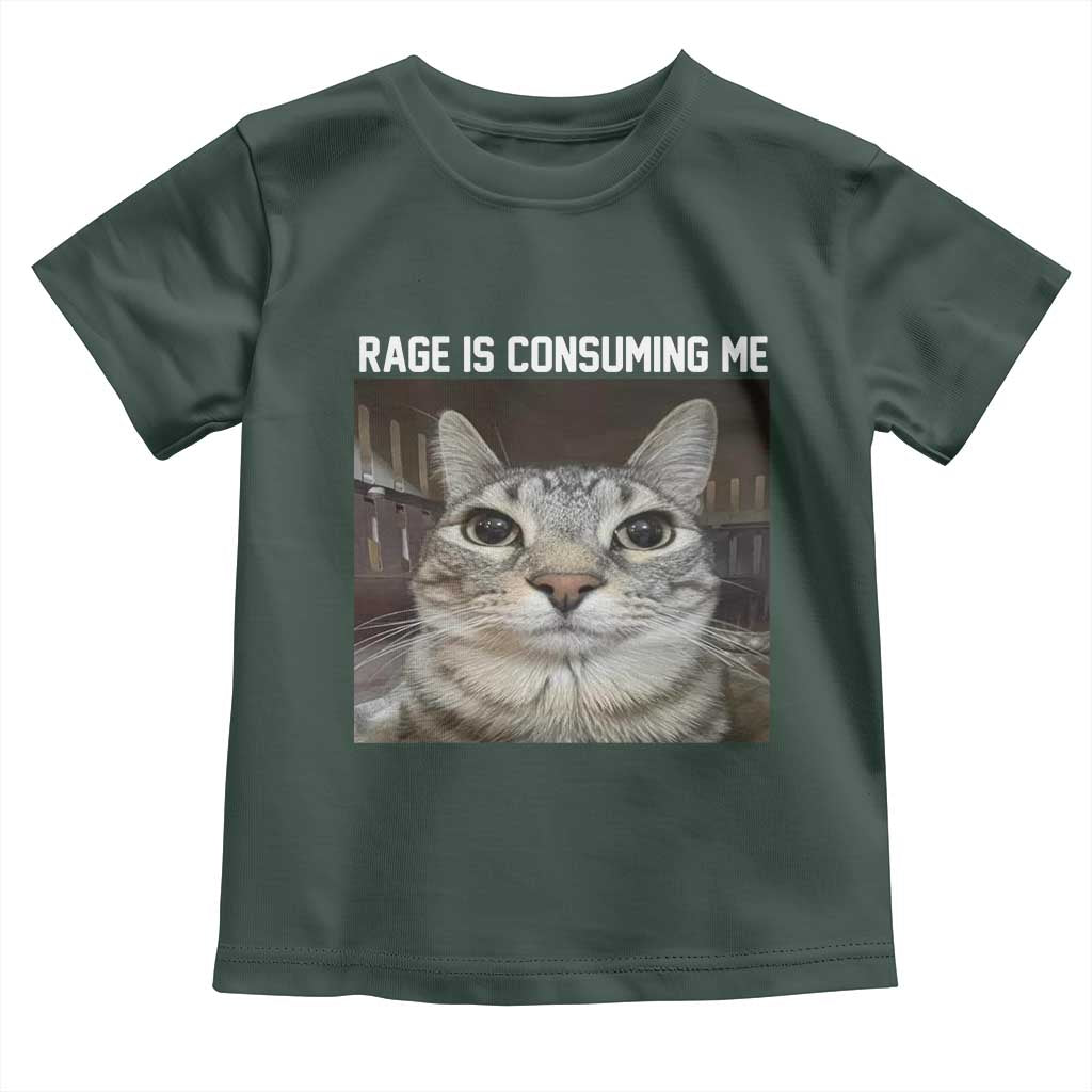 Funny Silly Cat Meme Toddler T Shirt Rage Is Consuming Me Staring