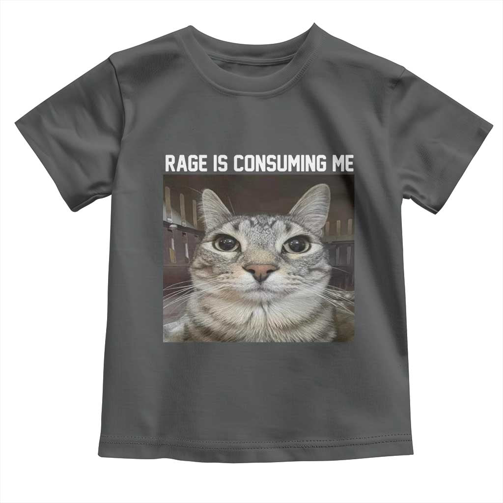 Funny Silly Cat Meme Toddler T Shirt Rage Is Consuming Me Staring